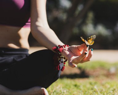 Meditation